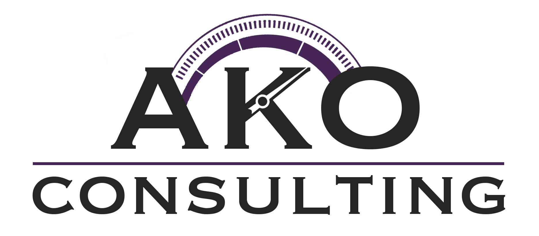 AKO Consulting LLC